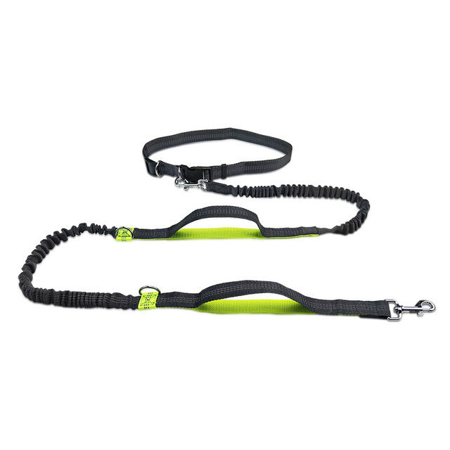 Adjustable Pet Jogging Leash with Reflective Nylon Strap