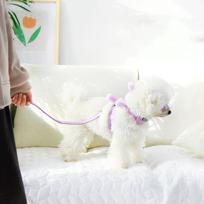 Adjustable Cat & Dog Harness with Leash