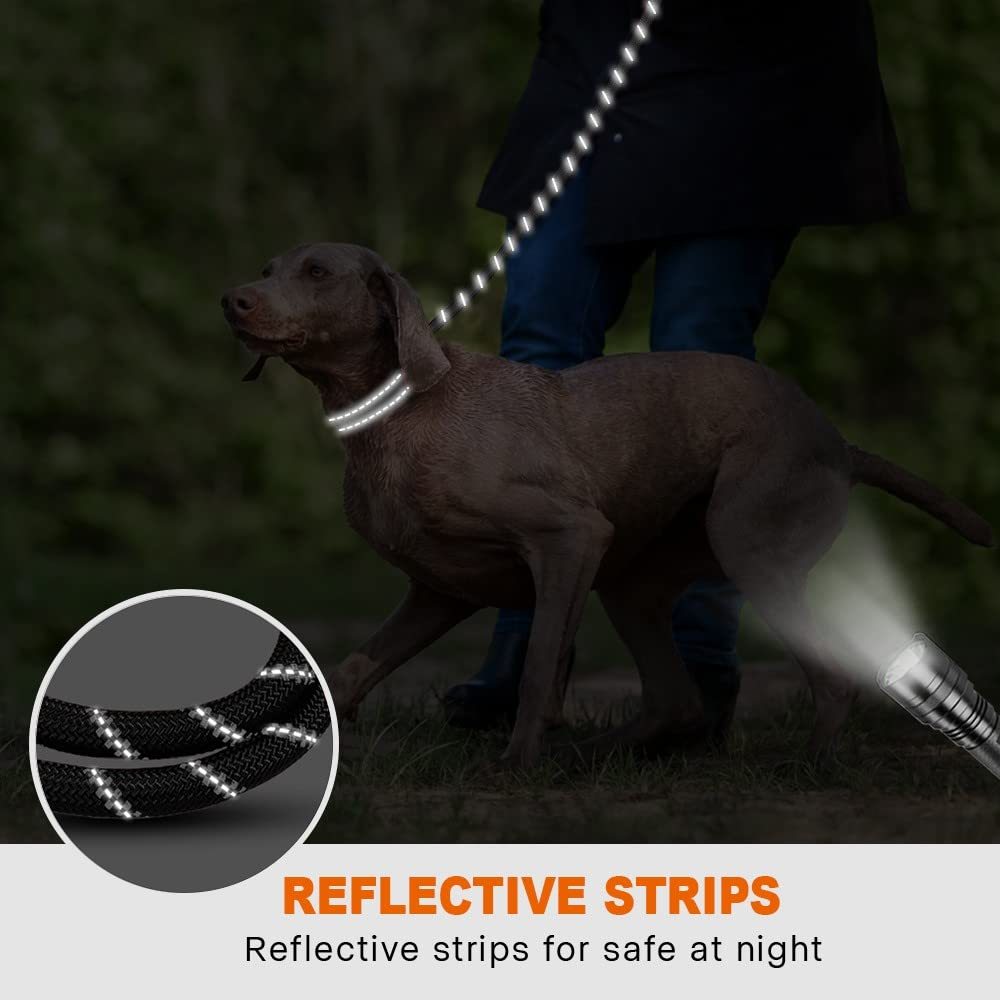 Reflective Elastic Dog Leash with Padded Handle