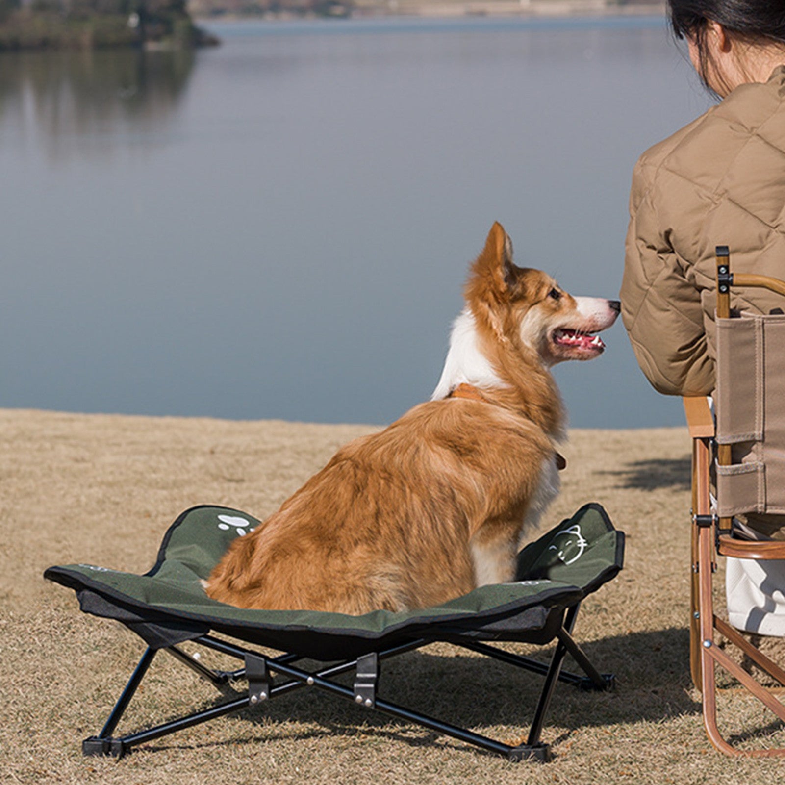 Outdoor Detachable & Washable Folding Pet Bed