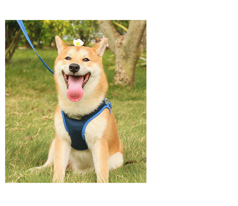 Adjustable Pet Chest Harness with Leash
