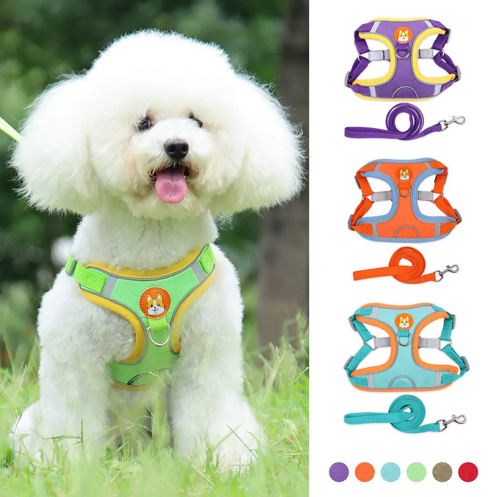 Adjustable Dog & Cat Harness with No-Pull Leash