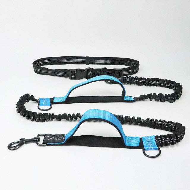 Adjustable Pet Jogging Leash with Reflective Nylon Strap