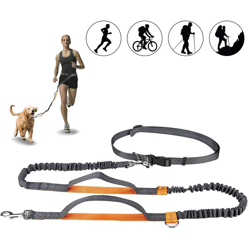 Adjustable Pet Jogging Leash with Reflective Nylon Strap