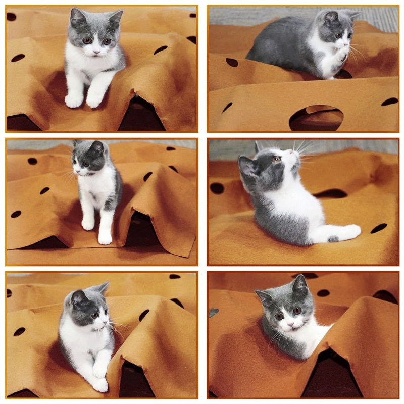 Cat Activity & Play Mat