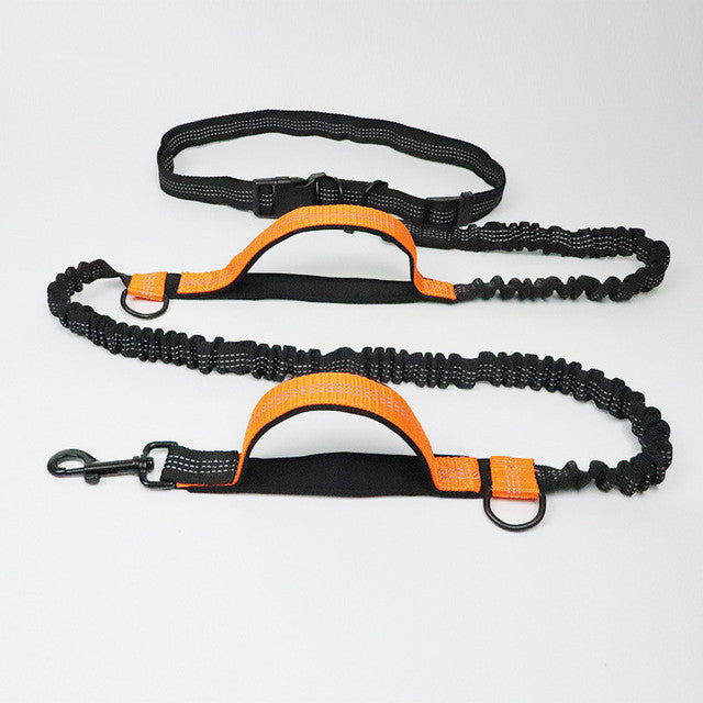 Adjustable Pet Jogging Leash with Reflective Nylon Strap